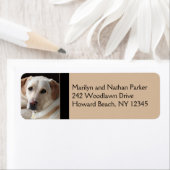 Yellow Labrador Retriever Return Address Label (Insitu)