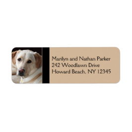Yellow Labrador Retriever Return Address Label