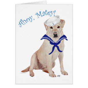 Yellow Labrador Retriever Sailor