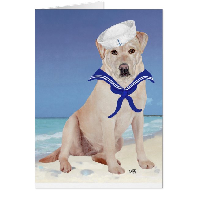 Yellow Labrador Retriever Sailor (Voorkant)
