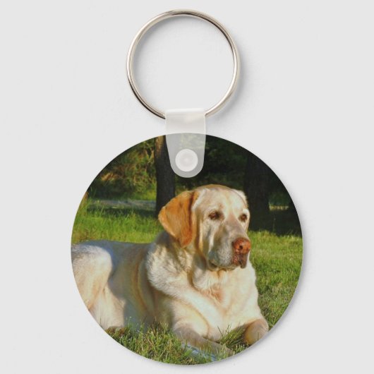 Yellow Labrador Retriever Sleutelhanger (Voorkant)