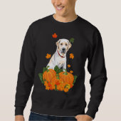 Yellow Labrador Retriever Thanksgiving Pumpkin Fal Trui (Voorkant)
