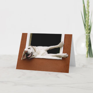 Yellow Labrador Wenskaart Kaart