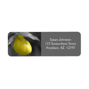 Yellow Lady Slipper Orchid Flower Adres Etiket