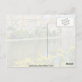 yellow Leeds Castle, Kent, Engeland bloemen Briefkaart (Achterkant)