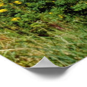 yellow Leeds Castle, Kent, Engeland bloemen Poster (Hoek)