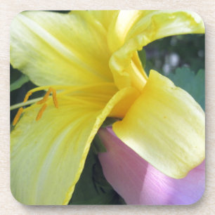 Yellow Lily Bier Onderzetter