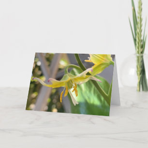 Yellow Lily Blank Kaart