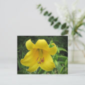 Yellow Lily Briefkaart (Staand voorkant)