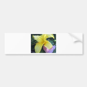 Yellow Lily Bumpersticker