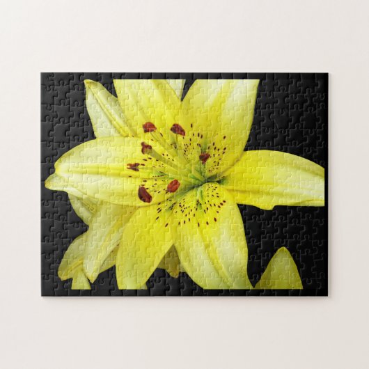 Yellow Lily Close-up Legpuzzel (Horizontaal)