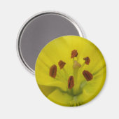 Yellow Lily Floral Magnet (Voorkant / Achterkant)