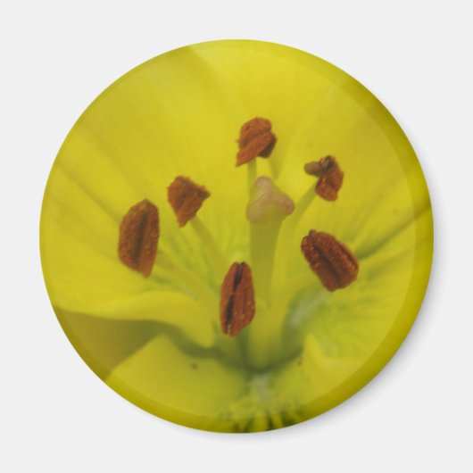 Yellow Lily Floral Magnet (Voorkant)