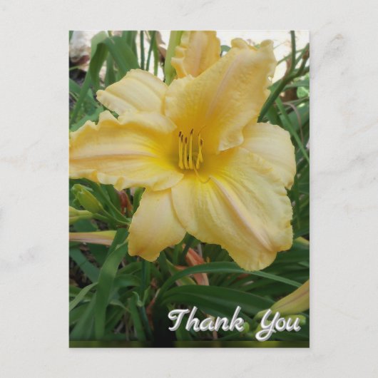 Yellow Lily Flower Bedankt Briefkaart (Voorkant)