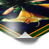 Yellow Lily Flower Mirror Abstract 8x10 Foto Afdruk (Hoek)
