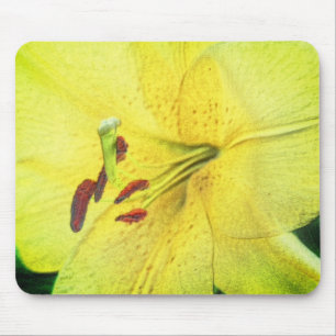 Yellow Lily Flower Pencil Art Muismat