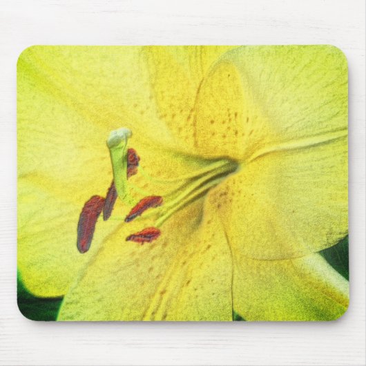 Yellow Lily Flower Pencil Art Muismat (Voorkant)