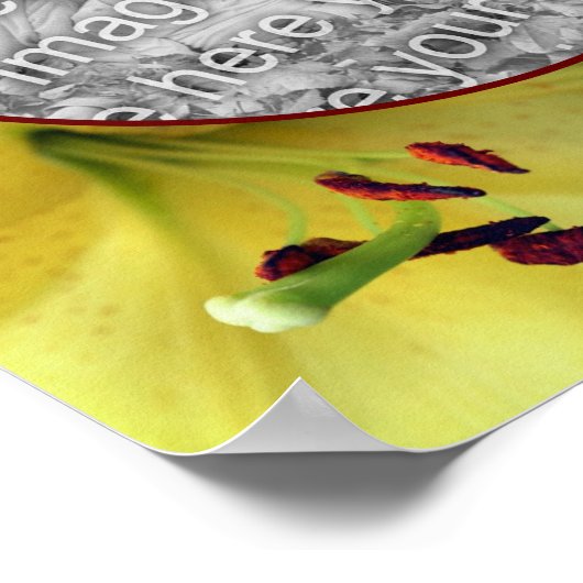 Yellow Lily Flower Up Close Creëer Uw eigen foto Poster (Hoek)