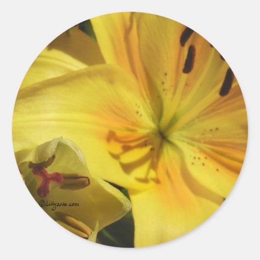 Yellow Lily Invitation Envelope Seal Ronde Sticker (Voorkant)
