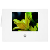 Yellow Lily met windeffect door Shirley Taylor (Achterkant Horizontaal)