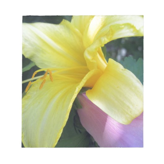 Yellow Lily Notitieblok (Voorkant)