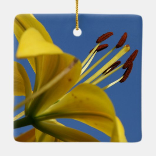 Yellow Lily Ornament (Achterkant)