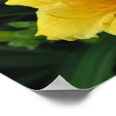 Yellow Lily Poster (Hoek)