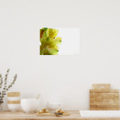 Yellow Lily Poster Print (Keuken)