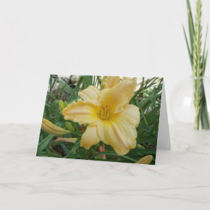 Yellow Lily Stella d'oro Wenskaart Kaart
