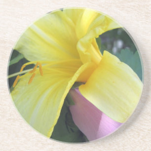 Yellow Lily Zandsteen Onderzetter