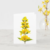 Yellow Loosestrife  Kaart (Gele Bloem)
