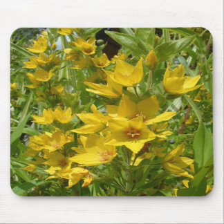 Yellow Loosestrife Mousemat Muismat