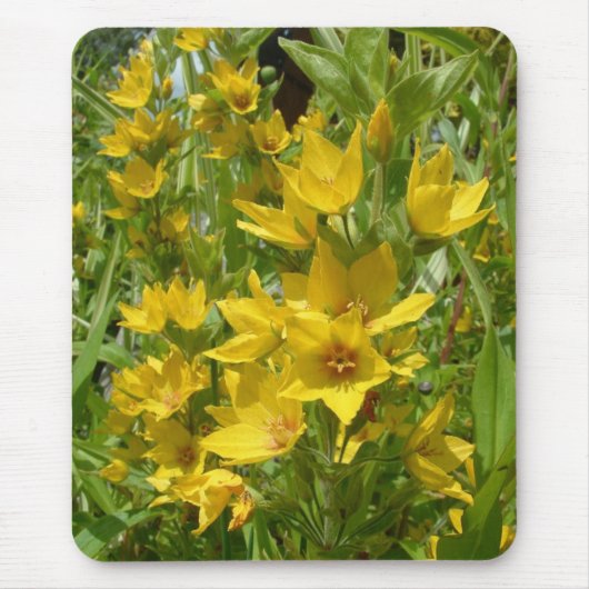 Yellow Loosestrife Mousemat Muismat (Voorkant)