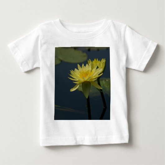 Yellow Lotus Waterlily (Voorkant)