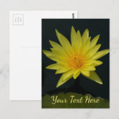 Yellow Lotus Waterlily Briefkaart (Voorkant / Achterkant)