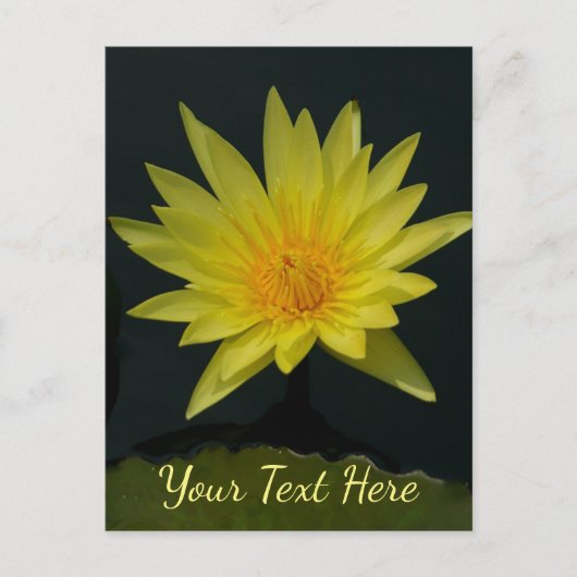 Yellow Lotus Waterlily Briefkaart (Voorkant)