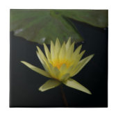 Yellow Lotus Waterlily Tegeltje (Voorkant)