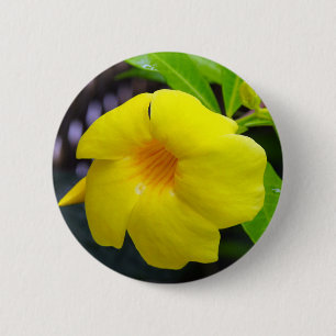 Yellow Mandevilla Ronde Button 5,7 Cm