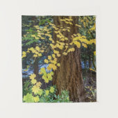 Yellow Maple Leaves en Douglas Fir Photo Wandkleed (Voorkant)