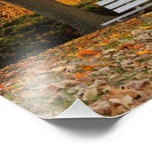 Yellow Maple Tree Autumn Foto afdrukken (Hoek)