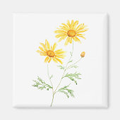 Yellow Margaret daisy waterverf Magneet (Voorkant)