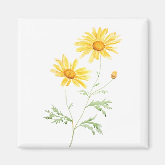 Yellow Margaret daisy waterverf Magneet (Voorkant)
