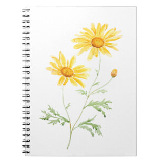 Yellow Margaret daisy waterverf Notitieboek