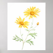Yellow Margaret daisy waterverf Poster (Voorkant)