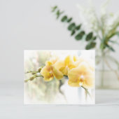 Yellow Moth Orchid in Sunshine Briefkaart (Staand voorkant)