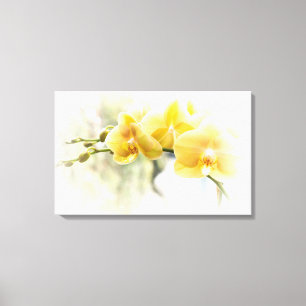 Yellow Moth Orchid in Sunshine Canvas Afdruk