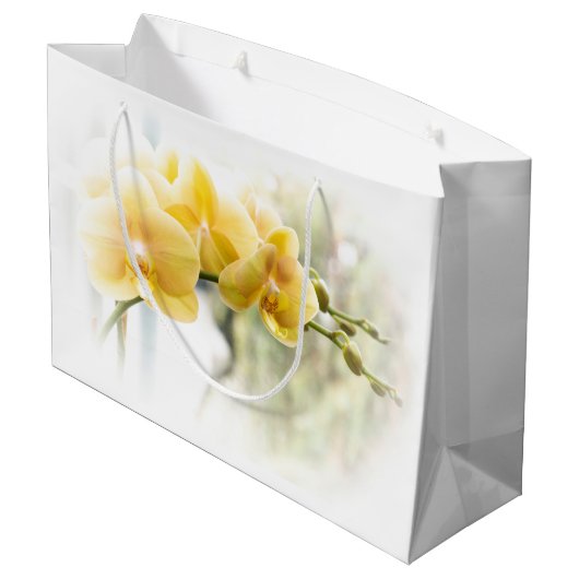 Yellow Moth Orchid in Sunshine Groot Cadeauzakje (Achterkant Gekanteld)