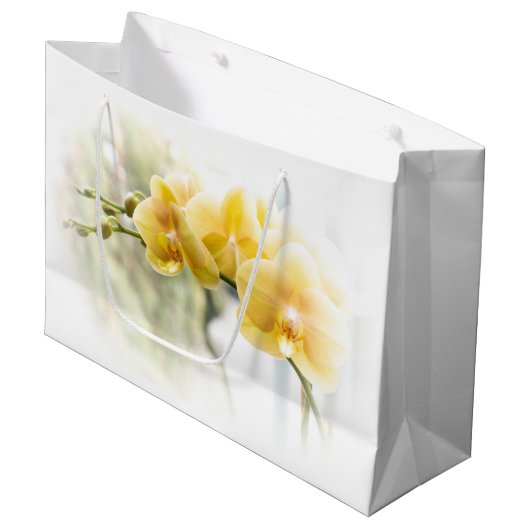 Yellow Moth Orchid in Sunshine Groot Cadeauzakje (Voorkant Gekanteld)