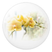 Yellow Moth Orchid in Sunshine Keramische Knop (Voorkant)
