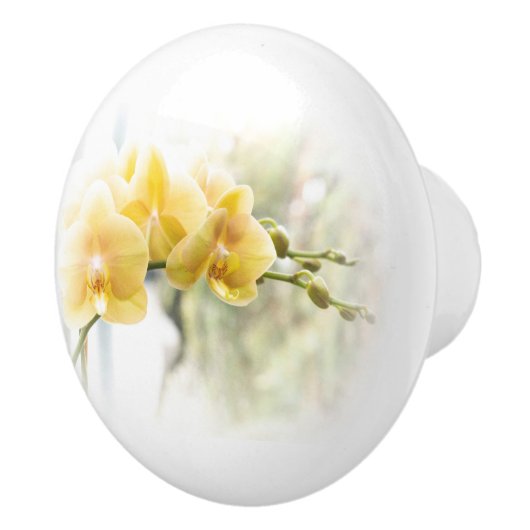 Yellow Moth Orchid in Sunshine Keramische Knop (Rechts)